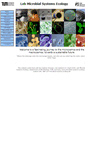 Mobile Screenshot of environmental-microbiology.de