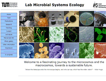 Tablet Screenshot of environmental-microbiology.de